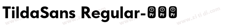 TildaSans Regular字体转换